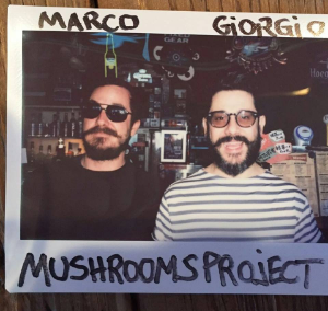 Mushrooms Project (LENG)